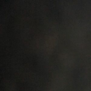 Meet your Posher, Baylee